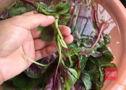 Illustration of how to cook amaranth with garlic 1