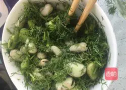 Illustration of how to make fennel broad beans 10