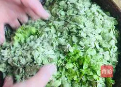 Illustration of how to make steamed elm money 4