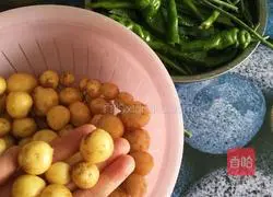 Illustration of how to make small potato pickles 2