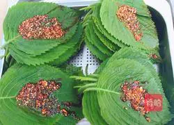 Illustration of how to make perilla leaf pickles 7