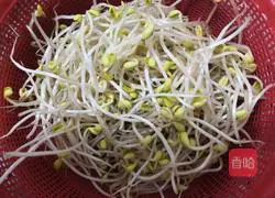 Illustration of how to make stir-fried green pepper and soybean sprouts 2