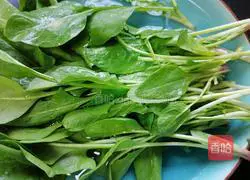 Illustration of how to mix spinach with peanuts 2