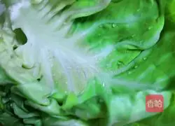 Illustration of how to stir-fry cabbage and fungus 2