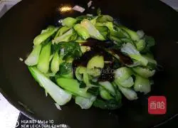 Illustration of cooking oil-consuming rapeseed 5