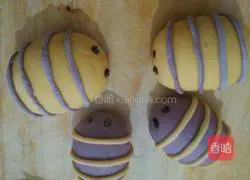 Caterpillar recipes illustration 9