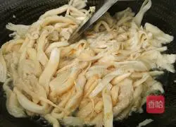 Illustrations of Green Leaves' Deep Affection to Roots 10