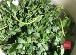 Illustration of Stir-fried Yellow Flower Grass 2