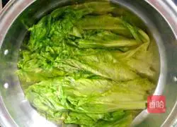 Oyster Sauce Lettuce Recipe Illustration 8