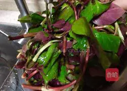  Spring wild vegetables ~ Illustration of how to make cold folded ear root (leaves) 5