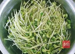 Illustration of oil-consuming fried bean sprouts 2