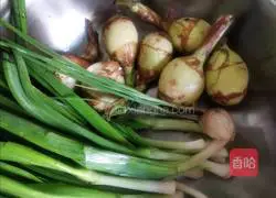 Garlic Mushrooms Mushroom (advanced) recipe 1