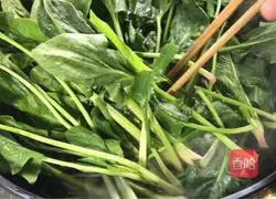 Illustration of how to make cold spinach (good luck) 4