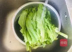 Garlic lettuce Illustration of how to do it 1