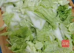 Illustration of how to make stir-fried cabbage 1