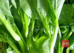 How to make oyster cabbage heart (chopped pepper version) Illustration 2