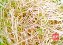 Illustration of how to make fried eggs with bean sprouts 1