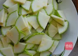 Illustration of vegetarian fried zucchini 2