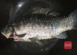 Mushrooms and crucian carp soup Illustration of how to do it 4