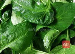 Chili leaf chicken slices soup recipe 3