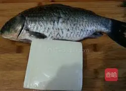 Tofu and crucian carp soup recipe 1