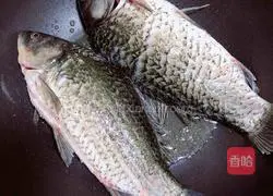 Winter Melon, Job's Tears and Crucian Carp Soup Recipe Illustration 6