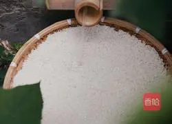 Illustration of how to make bayberry wine 2