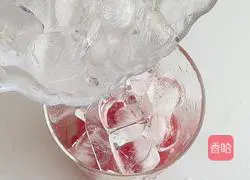 Cranberry soda recipe illustration 6