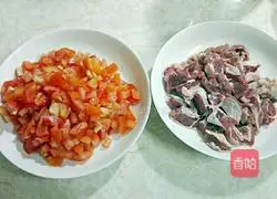 Illustration of tomato stewed beef brisket 2