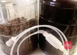 Illustration of how to make grape vinegar 11