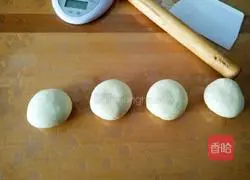 Illustration of making homemade sausage and hot dog 4