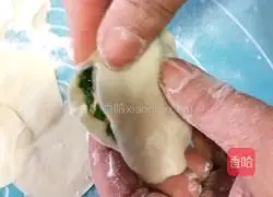 Illustration of how to make zygotes 6