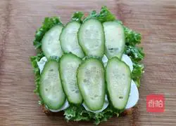 Tuna cheese sandwich recipe 10