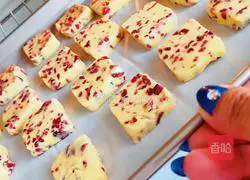 Cranberry Cookie Recipe Illustration 18