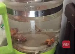 Fruit Illustration of how to make tea 3