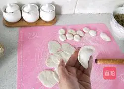 Illustration of how to make pork and radish dumplings 14