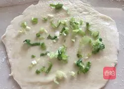 Egg, Chive and Scallion Pancakes Practice illustration 4