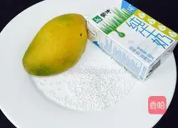 Mango Sago Recipe Illustration 1