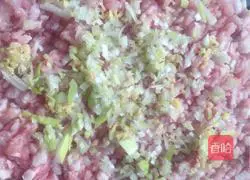 Illustration of how to make wontons 5