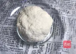 Shiitake Mushroom Noodles - Magic Flour Recipe Illustration 3