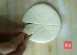 Illustration of how to make flower steamed buns 19