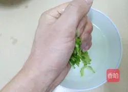 Bitter Melon Omelette Recipe Illustration 3