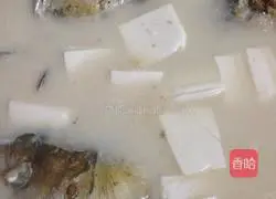 Illustration of how to make fish head and tofu soup 6