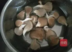 Illustration of how to make double mushroom tomato tofu soup 4