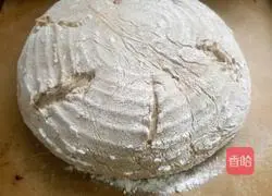 Daily Nut Rye Bread Recipe Illustration 14