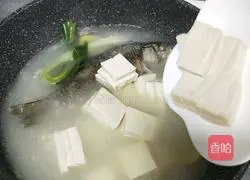Illustration of how to make crucian carp tofu soup 11