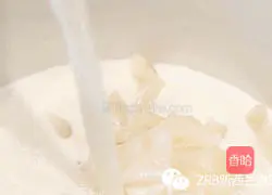 Illustration of how to make New Zealand fish maw jelly with mixed fruits and milk 2