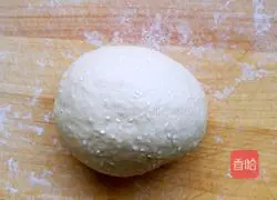 soft Illustration of how to make small twists 2