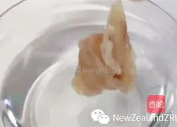 Illustration of how to make New Zealand fish maw eight-treasure sugar water 1