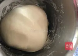 Illustration of how to make bear pizza 5